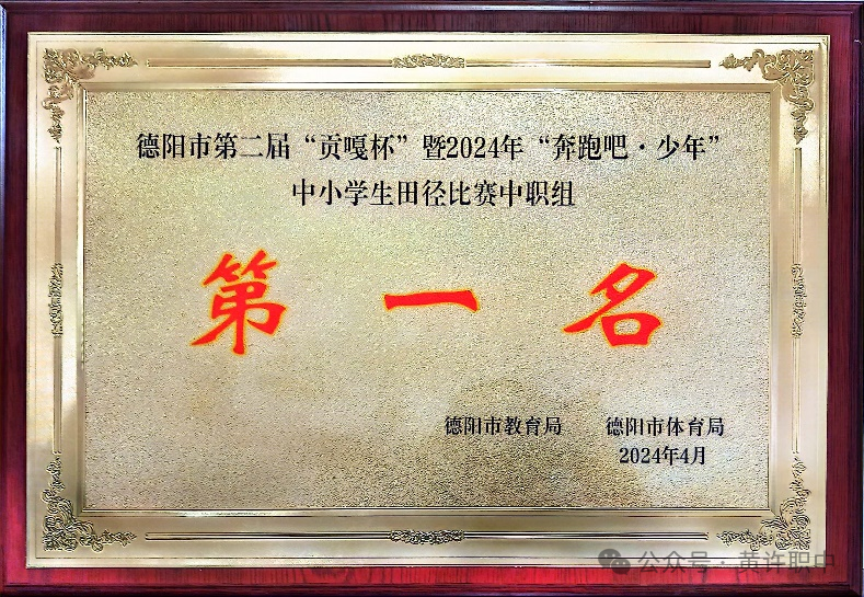 1716172580130868.png 1.png